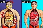 What Happens to Your Body While Fasting