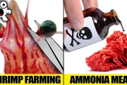 Secrets The Food Industry Doesn’t Want You To Know