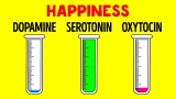 How Hormones Influence You and Your Mind