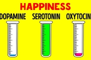 How Hormones Influence You and Your Mind