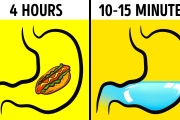 Can You Drink Water When You Eat?