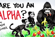 ARE YOU AN ALPHA? – Simon Sinek – Why Leaders Eat Last
